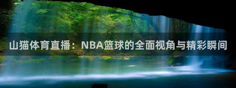 山猫体育直播：NBA篮球的全面视角与精彩瞬间