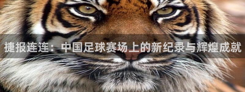 捷报连连：中国足球赛场上的新纪录与辉煌成就