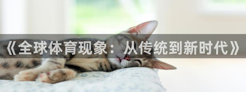 《全球体育现象：从传统到新时代》