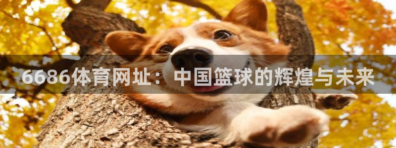 6686体育网址：中国篮球的辉煌与未来