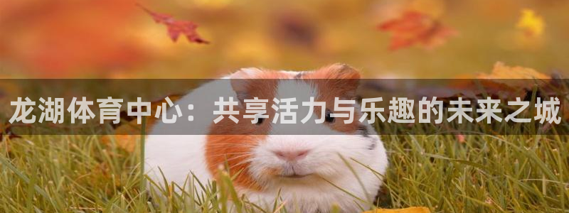 龙湖体育中心：共享活力与乐趣的未来之城