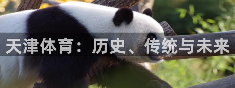 天津体育：历史、传统与未来