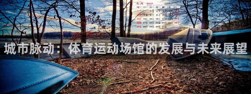 城市脉动：体育运动场馆的发展与未来展望