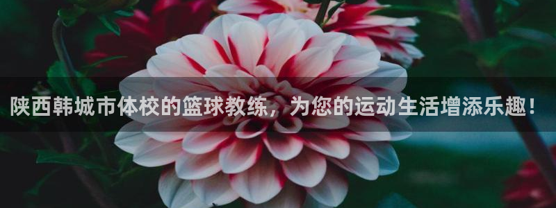陕西韩城市体校的篮球教练，为您的运动生活增添乐趣！