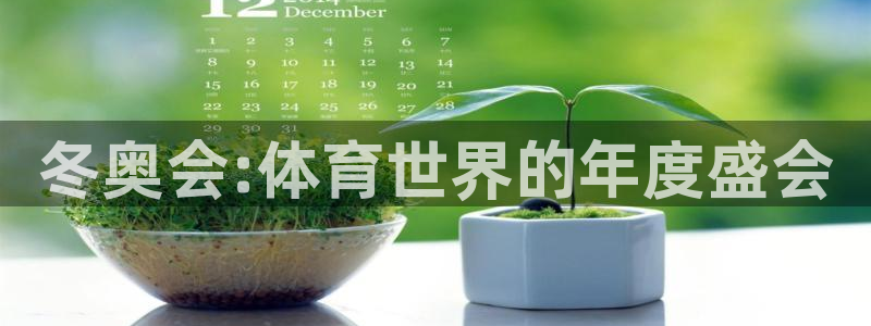 冬奥会:体育世界的年度盛会
