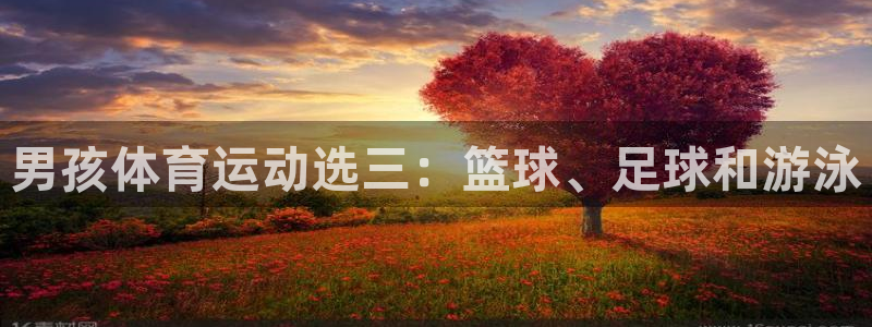 男孩体育运动选三：篮球、足球和游泳