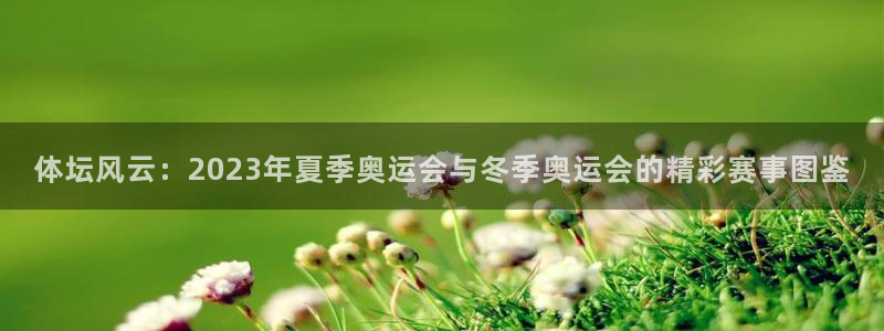 体坛风云：2023年夏季奥运会与冬季奥运会的精彩赛事图鉴