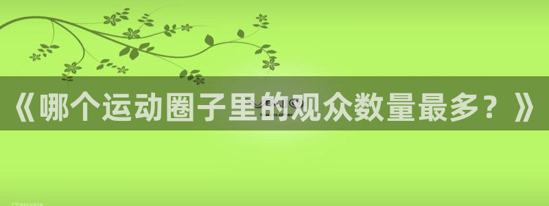 《哪个运动圈子里的观众数量最多？》