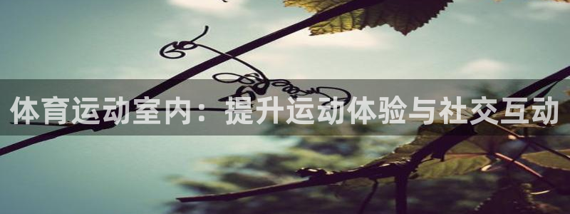 体育运动室内：提升运动体验与社交互动