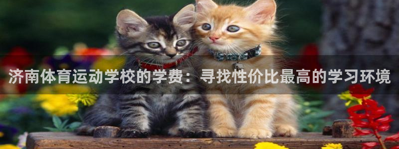 济南体育运动学校的学费：寻找性价比最高的学习环境