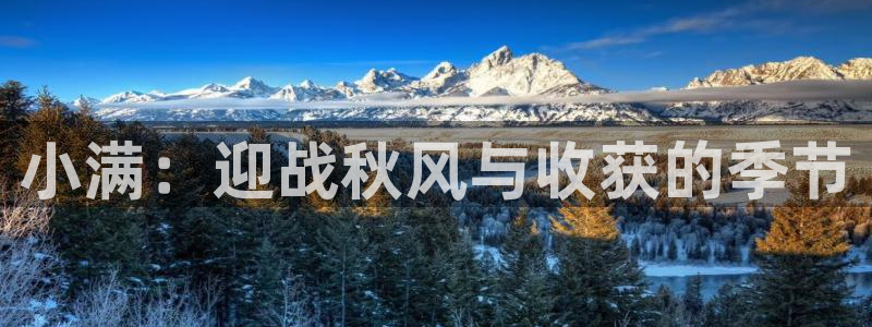 小满：迎战秋风与收获的季节