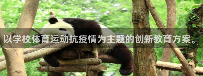以学校体育运动抗疫情为主题的创新教育方案。