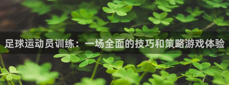 足球运动员训练：一场全面的技巧和策略游戏体验