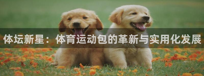 体坛新星：体育运动包的革新与实用化发展