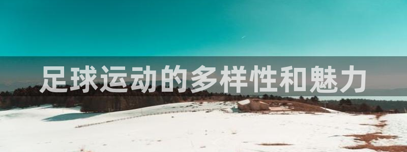 足球运动的多样性和魅力