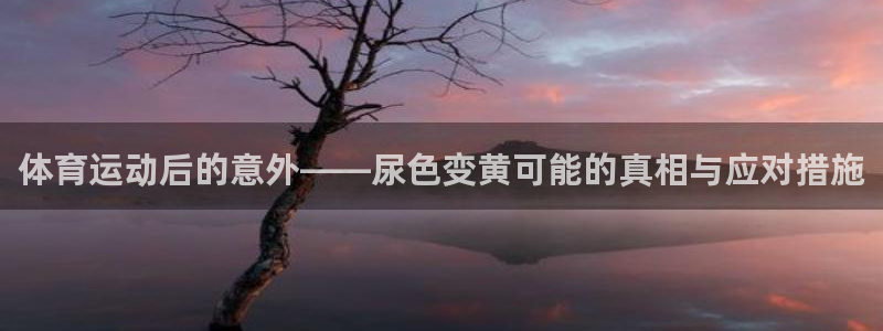 体育运动后的意外——尿色变黄可能的真相与应对措施