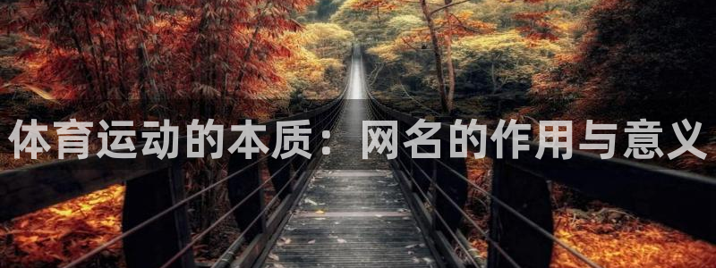 体育运动的本质：网名的作用与意义
