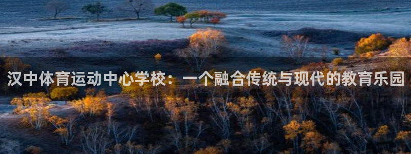 汉中体育运动中心学校：一个融合传统与现代的教育乐园
