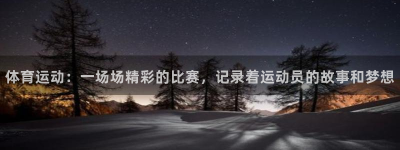 体育运动：一场场精彩的比赛，记录着运动员的故事和梦想
