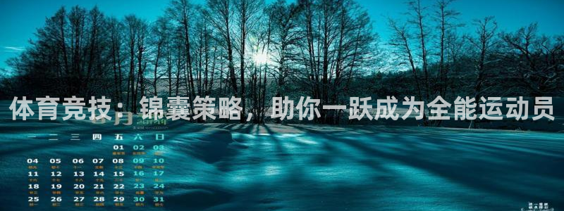 体育竞技：锦囊策略，助你一跃成为全能运动员