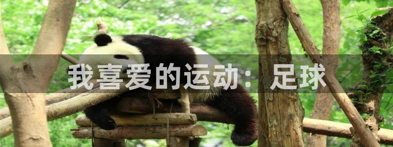 我喜爱的运动：足球