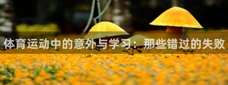 体育运动中的意外与学习：那些错过的失败