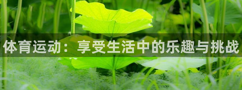 体育运动：享受生活中的乐趣与挑战