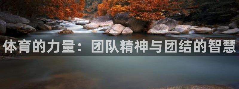 体育的力量：团队精神与团结的智慧