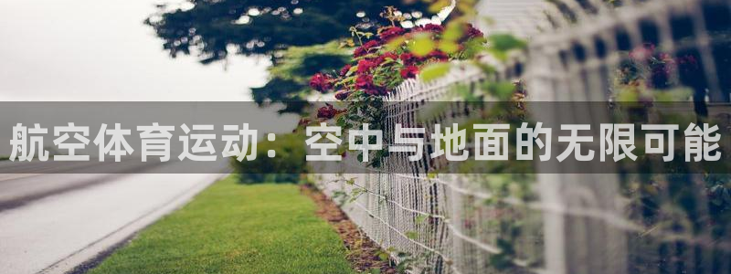 航空体育运动：空中与地面的无限可能