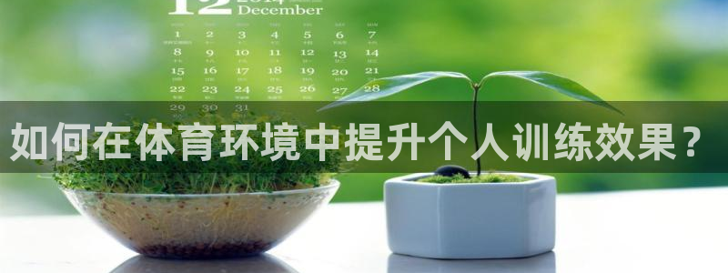 如何在体育环境中提升个人训练效果？