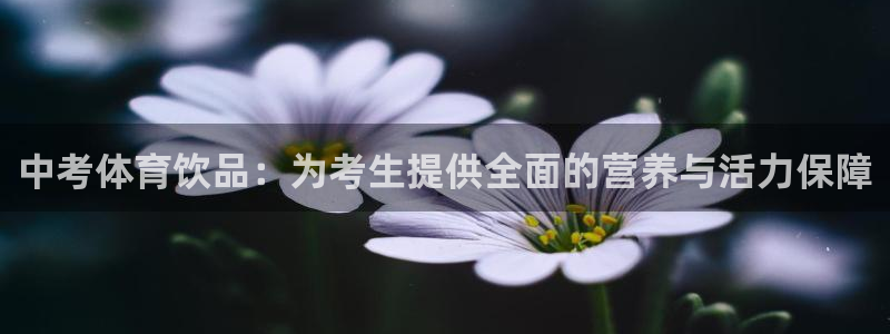 中考体育饮品：为考生提供全面的营养与活力保障