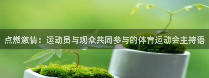 点燃激情：运动员与观众共同参与的体育运动会主持语