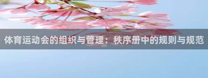 体育运动会的组织与管理：秩序册中的规则与规范