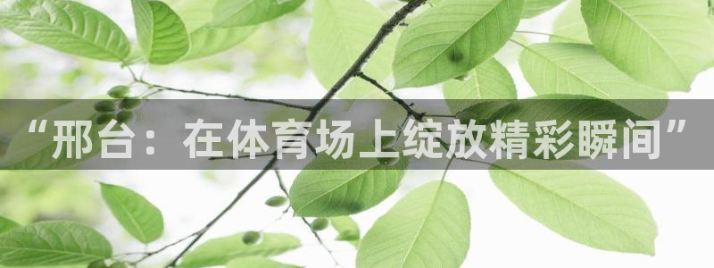 “邢台：在体育场上绽放精彩瞬间”