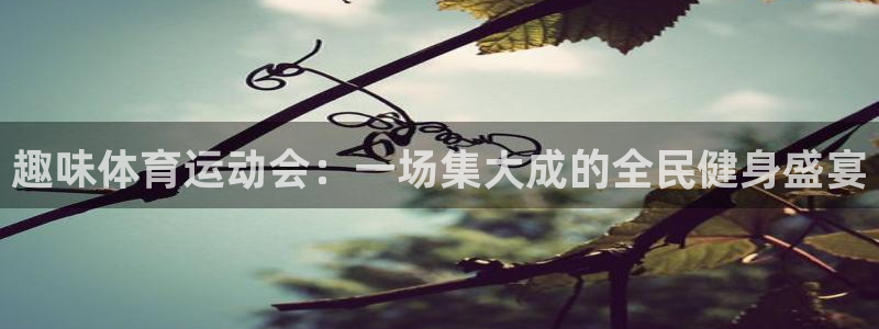 趣味体育运动会：一场集大成的全民健身盛宴