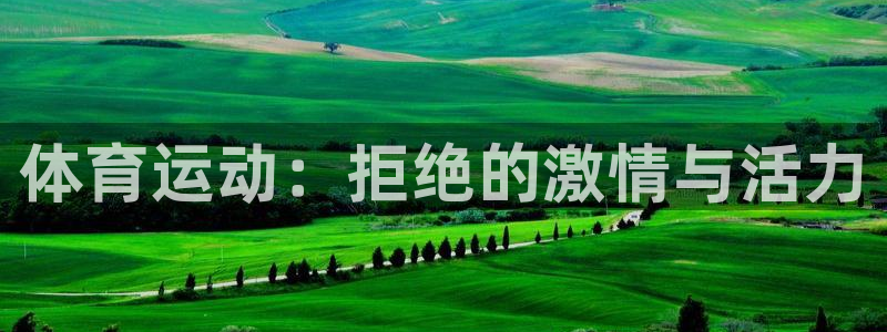 体育运动：拒绝的激情与活力