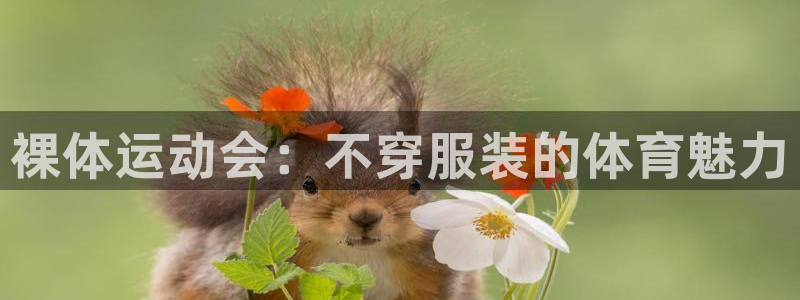 裸体运动会：不穿服装的体育魅力