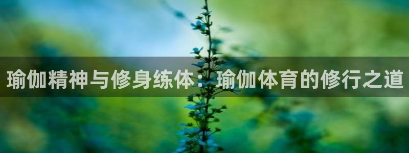 瑜伽精神与修身练体：瑜伽体育的修行之道