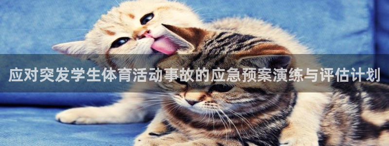 应对突发学生体育活动事故的应急预案演练与评估计划