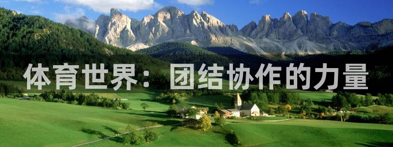 体育世界：团结协作的力量