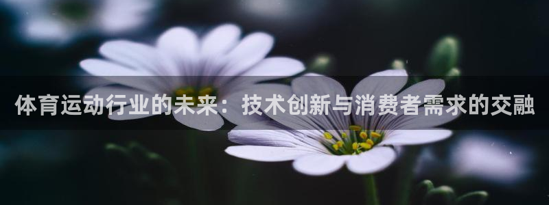 体育运动行业的未来：技术创新与消费者需求的交融