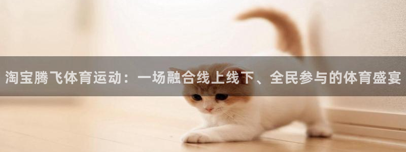 淘宝腾飞体育运动：一场融合线上线下、全民参与的体育盛宴