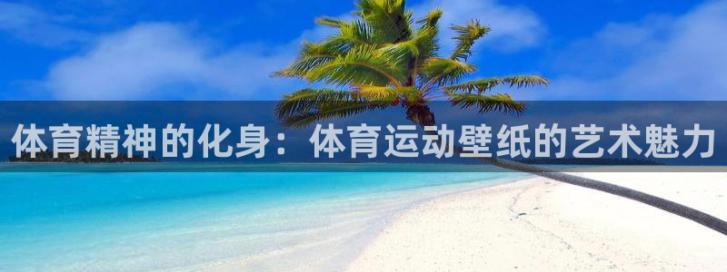 体育精神的化身：体育运动壁纸的艺术魅力