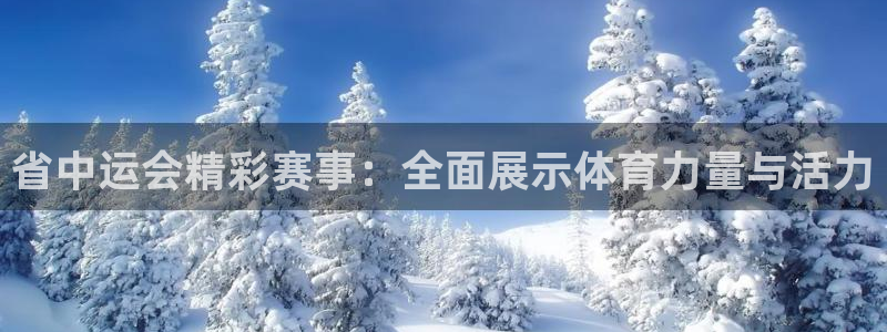 省中运会精彩赛事：全面展示体育力量与活力