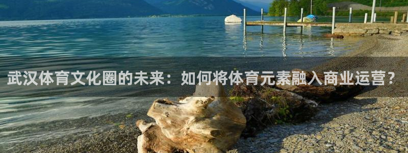 武汉体育文化圈的未来：如何将体育元素融入商业运营？